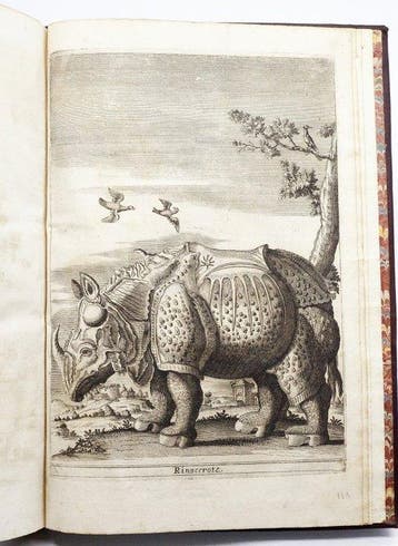 DAlessandro - Paragone de Cavalieri - 1711