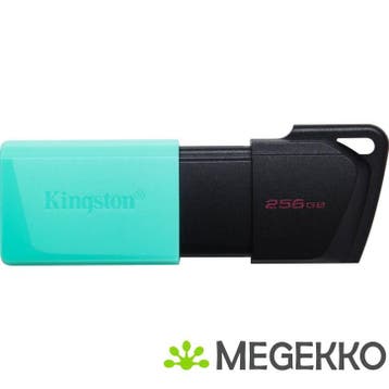 Kingston DataTraveler Exodia M 256GB, Verzenden, Nieuw