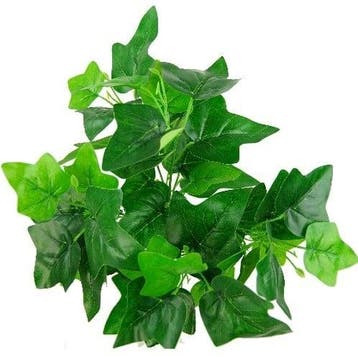 Hedera bundel Ivybush Groen 40 cm klimop per stuk