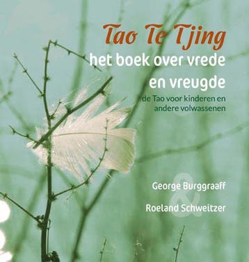 Tao Te Tjing voor kinderen en andere volwassenen, Boeken, Verzenden, Zo goed als nieuw, Roeland Schweitzer