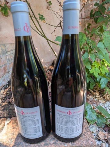 2020 Domaine de lArlot Cuvée Mont des Oiseaux - Nuits St.