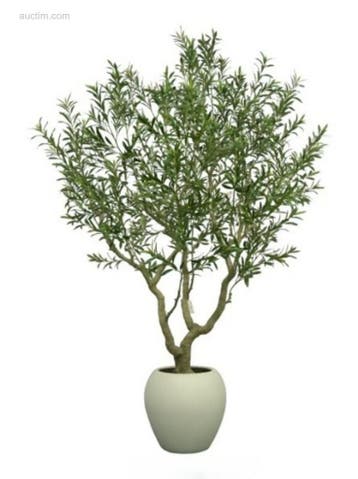 2x artificial olive tree, Nieuw