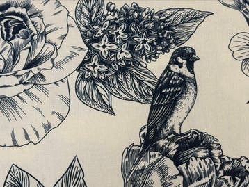 Botanische tuin gegraveerd met Paradijsvogelbloem -