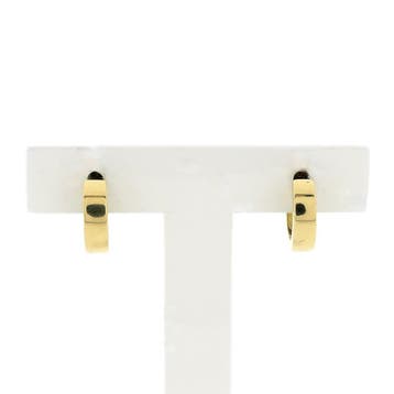 Gouden oorringen; Ø 13,5 (Oorbellen), Handtassen en Accessoires, Oorbellen, Ophalen of Verzenden, Gebruikt, Goud, Goud