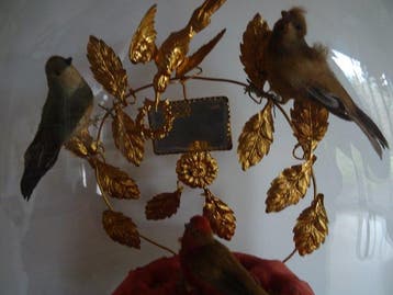 Ornement décoratif - France - Globe de mariée Napoléon