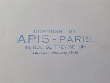 APIS-PARIS - Brigitte Bardot, The Ravishing Idiot (French:
