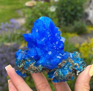 GEEN RESERVE! 186 g Royal Blue CHALCANTHITE Kristal op