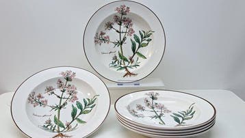 Villeroy & Boch - Bord (6) - Botanica - Vitro-Porzellan -, Antiquités & Art