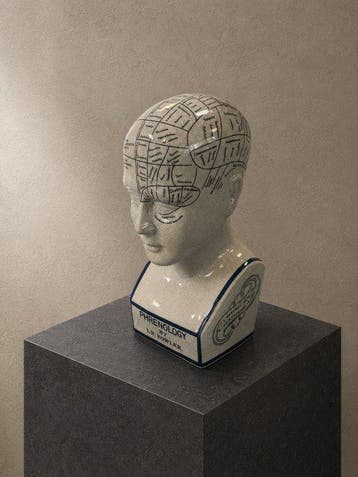 Instrument médical - Grande buste phrenologique en céramique
