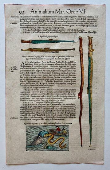 Conrad Gesner - Icones animalium quadrupedum uiuiparorum et