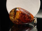 Miel fossile : pendentif en ambre baltique naturelle et