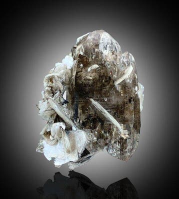 Échantillons mixtes de cristaux de quartz – Minéral de, Collections