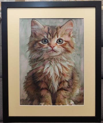 Davor Ivkovi (1965) - Cat