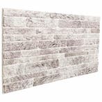 vidaXL Wandpanelen 10 pcs Lichtgrijs en wit 100 x 50 cm, Verzenden