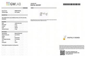 Zonder minimumprijs - Oorbellen - 14 karaat Witgoud -
