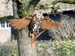 Sculpture, Schitterende uil - Oehoe - Spanwijdte 96 cm -