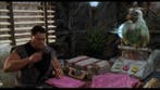 The Flintstones - Movie Prop - - Film rekwisiet In de film, Nieuw