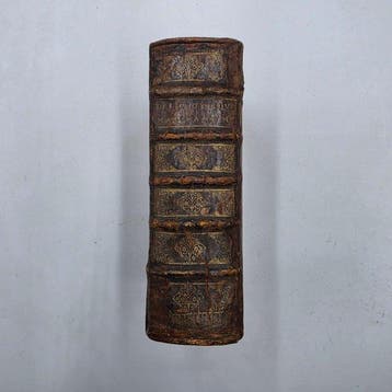 MARTINO DEL RIO - DISQUISITIONUM MAGICARUM LIBRI SEX - 1657