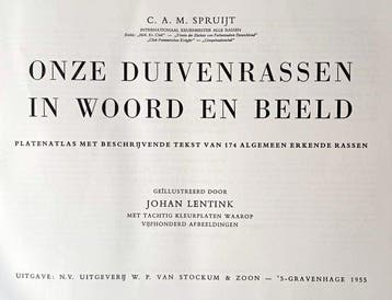 C.A.M. Spruijt / Johan Lentink - Onze duivenrassen in woord