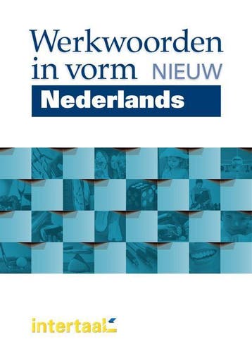 Werkwoorden in vorm nieuw - Nederlands voor anderstaligen, Livres, Verzenden, Scholtens