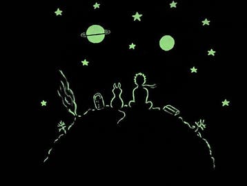 Maria Gubicekova (Maia) - Le Petit Prince (glows in dark)