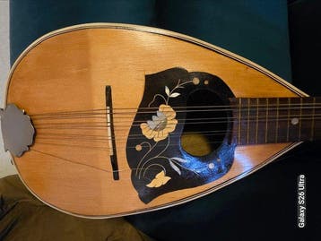 Musikhaus Stark - Neapolitanische Mandoline - - Mandoline -, Muziek en Instrumenten, Nieuw