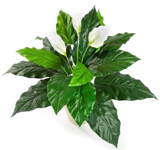 Kunstplant Lepelplant Wit 70 cm, Maison & Meubles, Plantes d'intérieur, Envoi