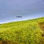 Grote partij 2,1 liter statisch gras voor