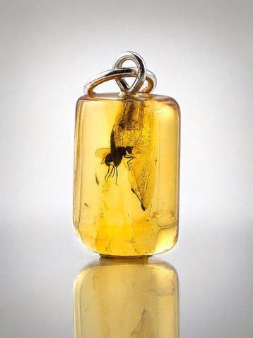 Zeldzame Eoceen Baltisch Amber hanger – Twee vliegen