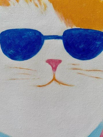 Roger Haus - Mind The Cat - XL