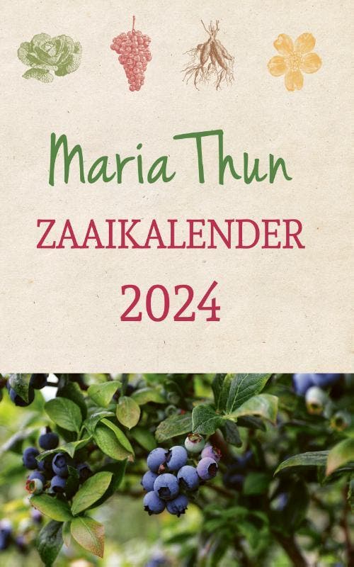 Maria Thun Zaaikalender 2024 9789060389904 Titia Thun, Boeken, Hobby en Vrije tijd, Gelezen, Verzenden