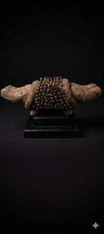 Prachtige Kongo-hond - Kongo (Zonder minimumprijs)