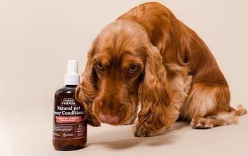 REF Furry Friends Spray Conditioner (Leave-in Conditioner), Verzenden, Nieuw, Gel, Wax, Haarlak of Mousse