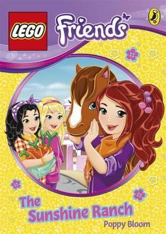 LEGO Friends 9781409393047, Livres, Langue | Anglais, Envoi