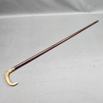Wandelstok - Hoorn - Biedermeier wandelstok