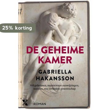 De geheime kamer 9789401601276 Gabriella Hakansson, Verzenden, Zo goed als nieuw, Gabriella Hakansson