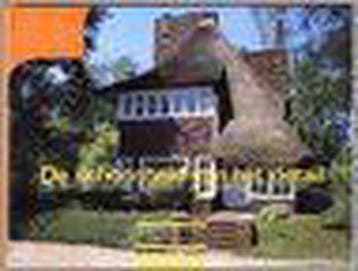 De schoonheid van het detail 9789050281508, Verzenden, Jeroen van der Spek