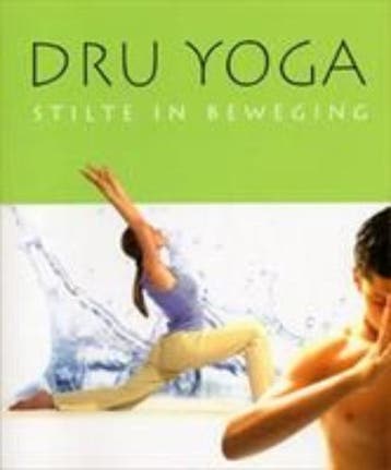 Dru yoga 9789081119917 Chris Barrington, Verzenden, Chris Barrington