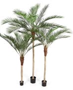 Kunstplant Phoenix Palm Plastic 210 cm, Verzenden
