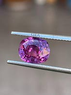 1 pcs Rose, Violet Saphir - 3.04 ct - Gemological Institute, Handtassen en Accessoires, Edelstenen, Nieuw