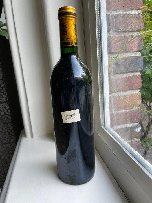 1989 Chateau Talbot - Saint-Julien 4ème Grand Cru Classé - 1, Verzamelen, Wijnen