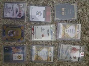 Panini Card, Nieuw