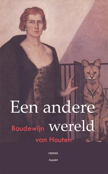 Een andere wereld 9789059119314 Boudewijn van Houten, Boeken, Verzenden, Zo goed als nieuw, Boudewijn van Houten