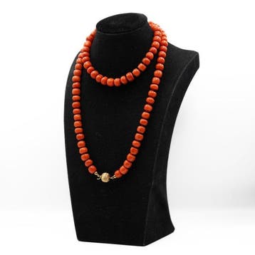 Chaîne - 14 carats Or jaune Corail rouge
