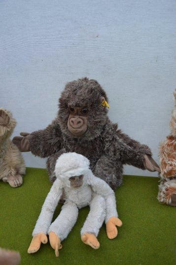 Steiff - Steiff - Figuur - Vintage diverse Steiff dieren