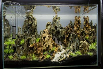 Dragon stone 15-25cm - aquarium decoratie stenen, Verzenden, Plant(en), Steen of Hout
