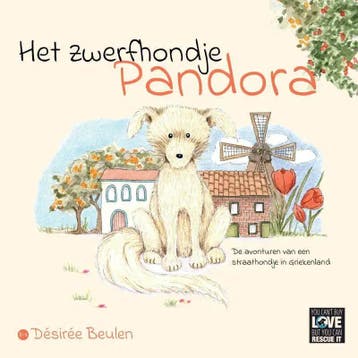 Het zwerfhondje Pandora 9789464682359 Désirée Beulen, Verzenden, Zo goed als nieuw, Désirée Beulen
