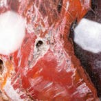 Bois pétrifié de qualité premium - Sphère de collectionneur