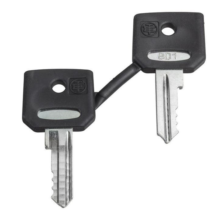 Schneider Electric Ronis 455 Ensemble De Clés Avec Botte De, Bricolage & Construction, Électricité & Câbles, Envoi
