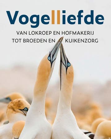 Vogelliefde (Nieuw), Verzenden